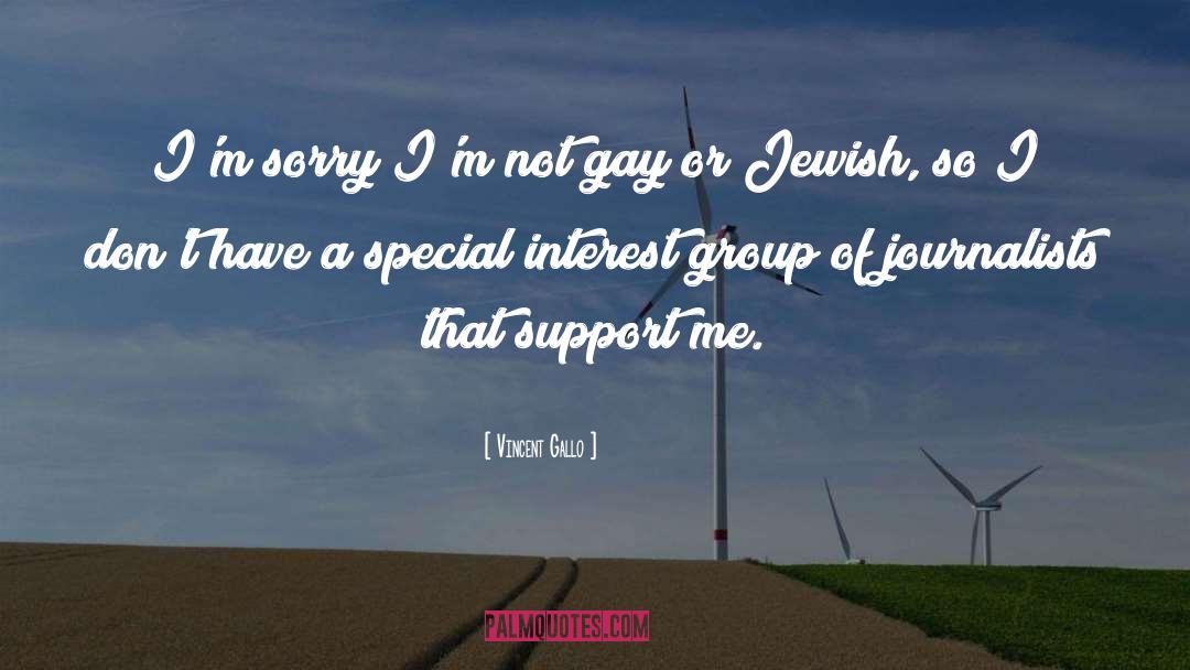 Gay Attitudes quotes by Vincent Gallo