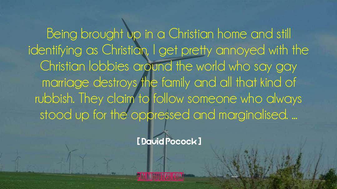 Gay Christian Gay Activism quotes by David Pocock