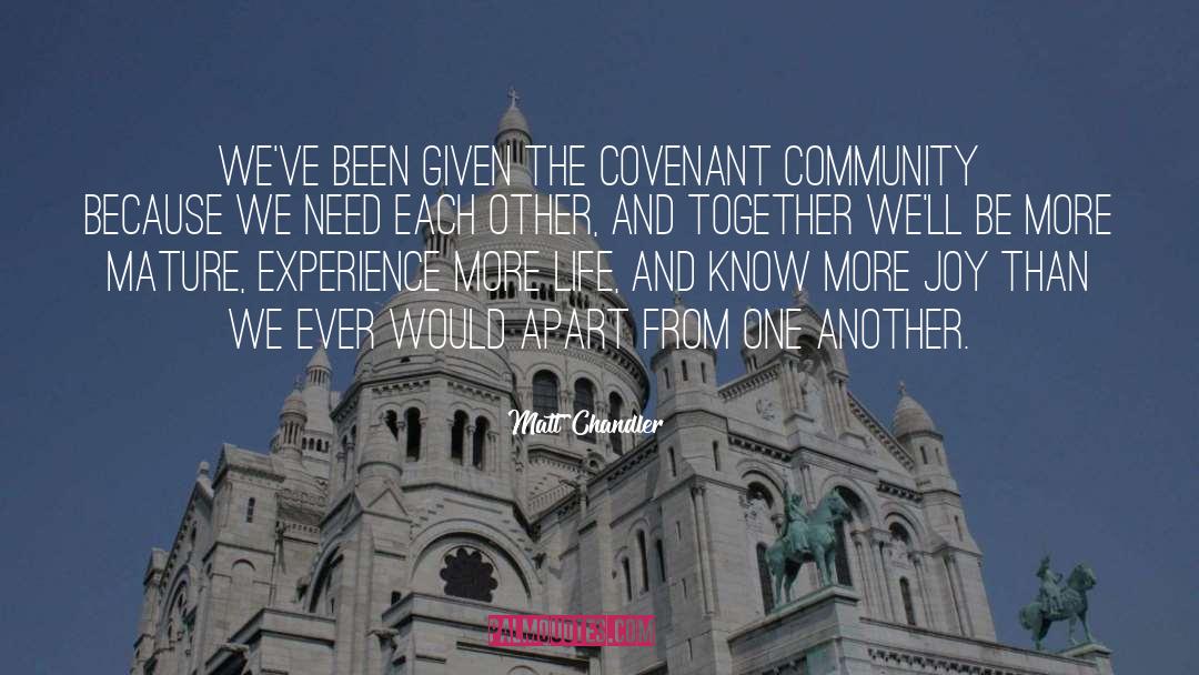 Gay Community quotes by Matt Chandler