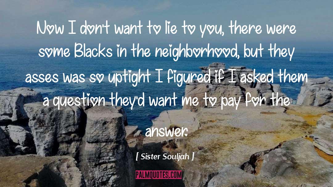 Gay For Pay quotes by Sister Souljah