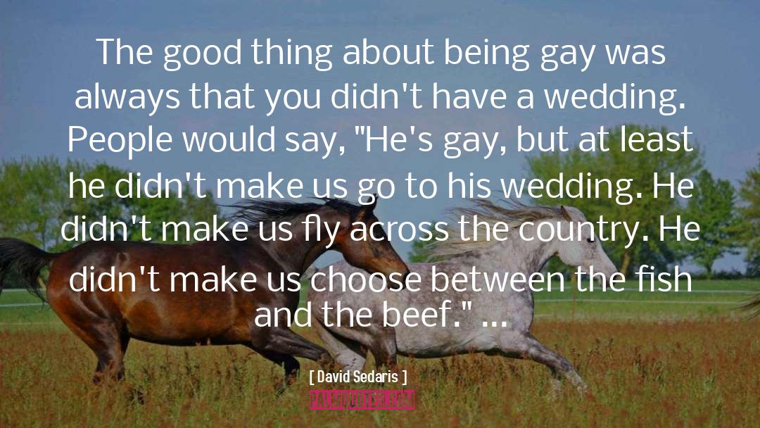 Gay Haters quotes by David Sedaris