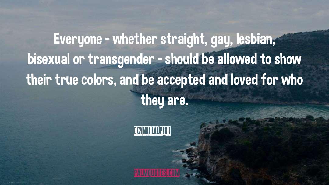 Gay Lesbian quotes by Cyndi Lauper