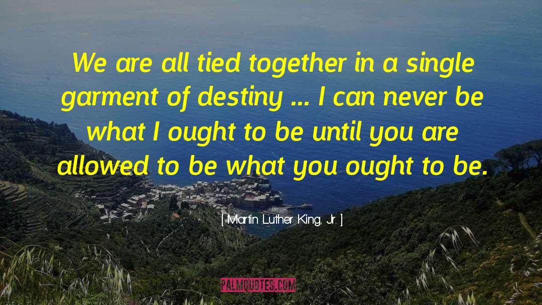 Gay Lifestyle quotes by Martin Luther King, Jr.