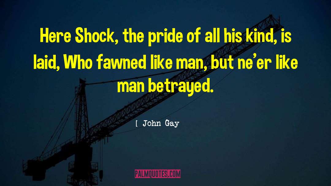 Gay Literature quotes by John Gay