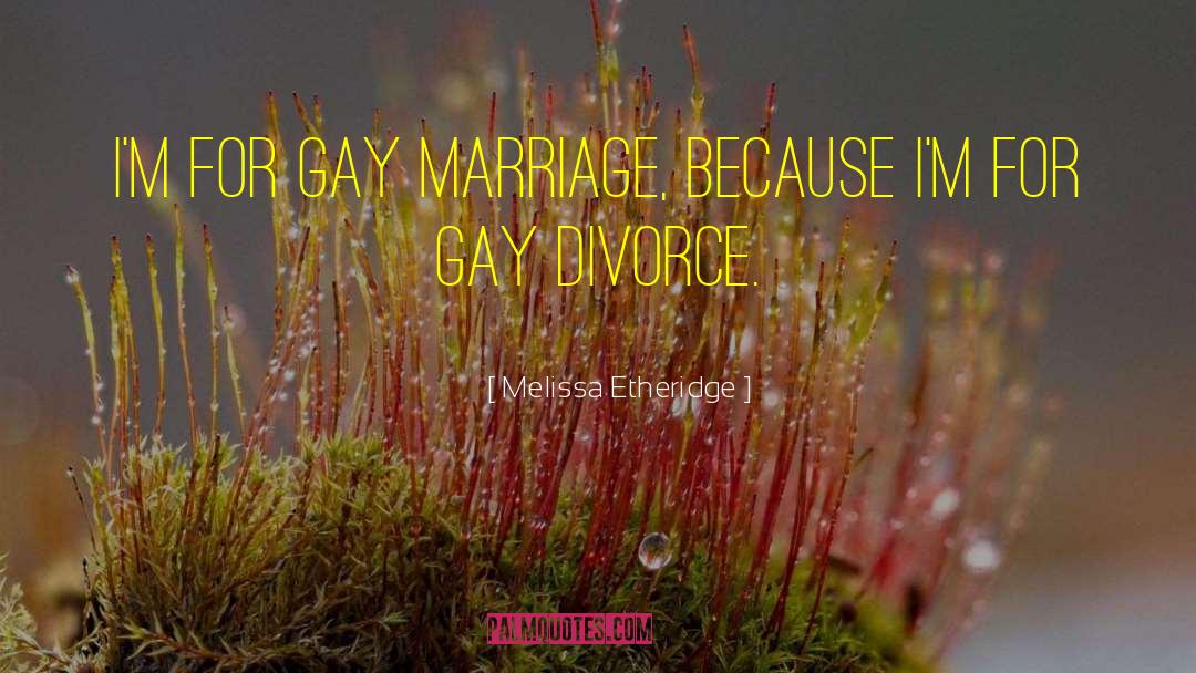 Gay Marriage quotes by Melissa Etheridge