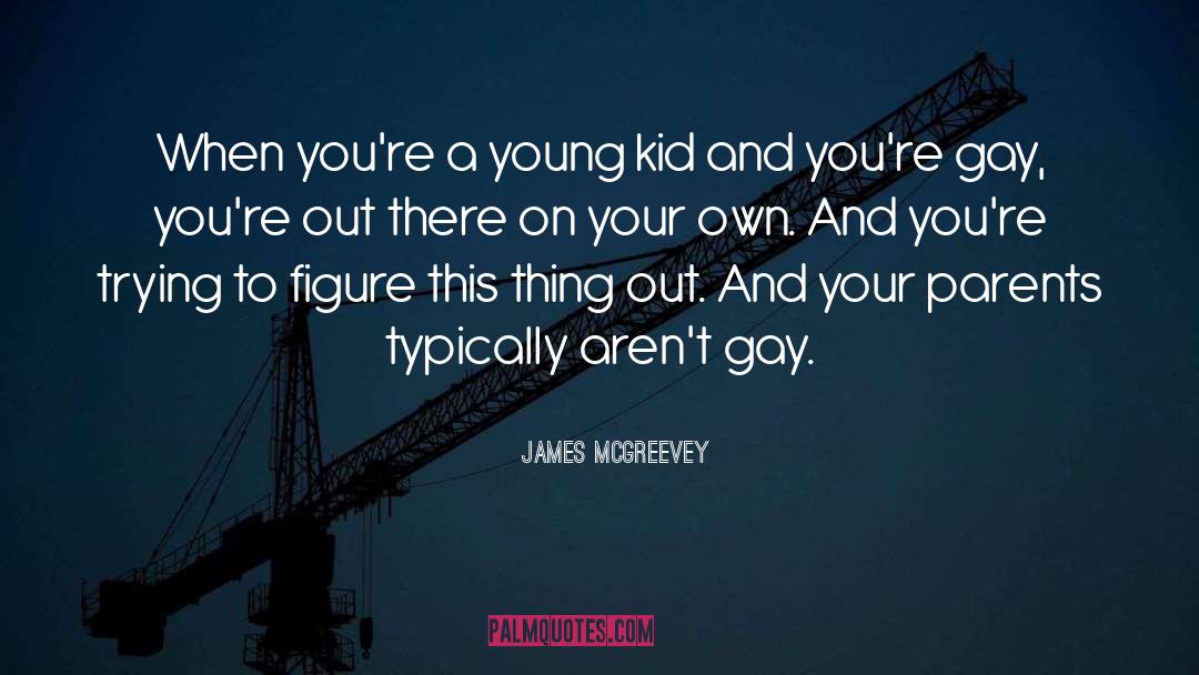 Gay quotes by James McGreevey