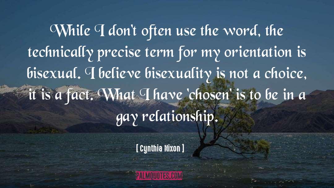 Gay Relationship quotes by Cynthia Nixon
