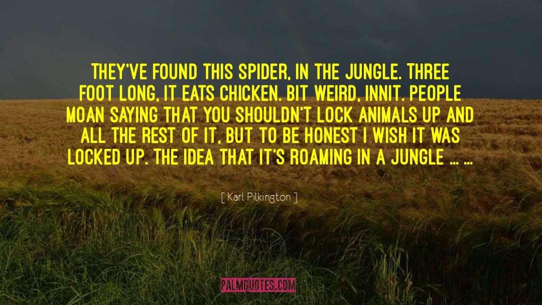 Gay Spider quotes by Karl Pilkington