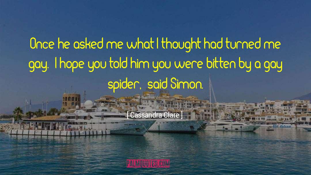 Gay Spider quotes by Cassandra Clare