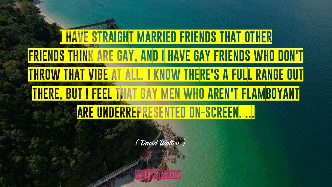 Gay Straight Frienships quotes by David Walton