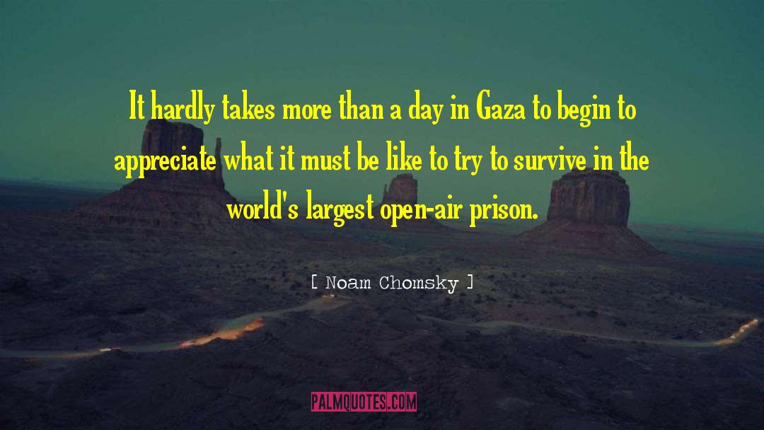 Gaza quotes by Noam Chomsky