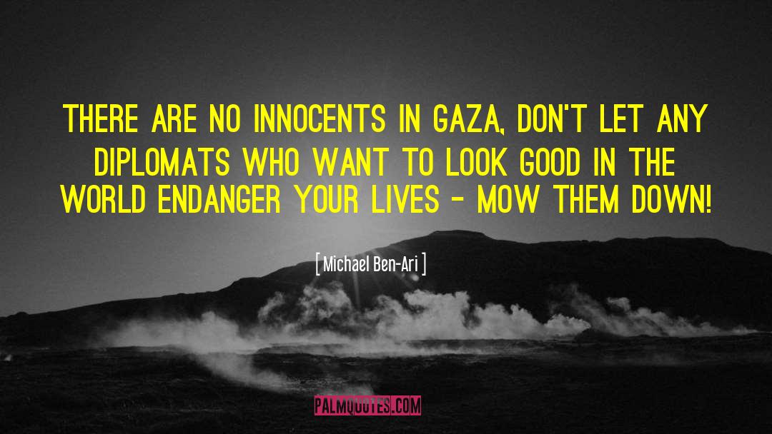 Gaza quotes by Michael Ben-Ari