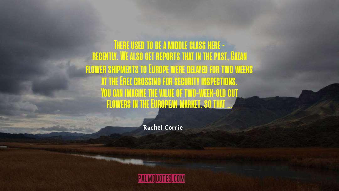 Gaza Strip quotes by Rachel Corrie