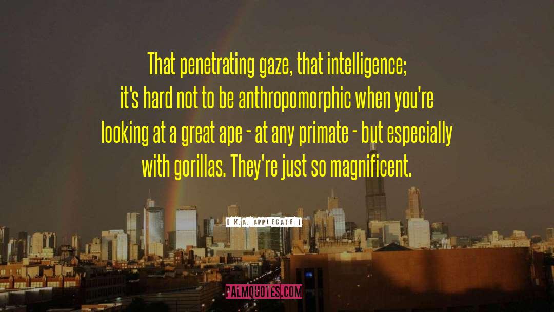 Gaze Synchrony quotes by K.A. Applegate