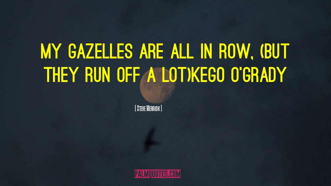 Gazelles quotes by Steve Merrick