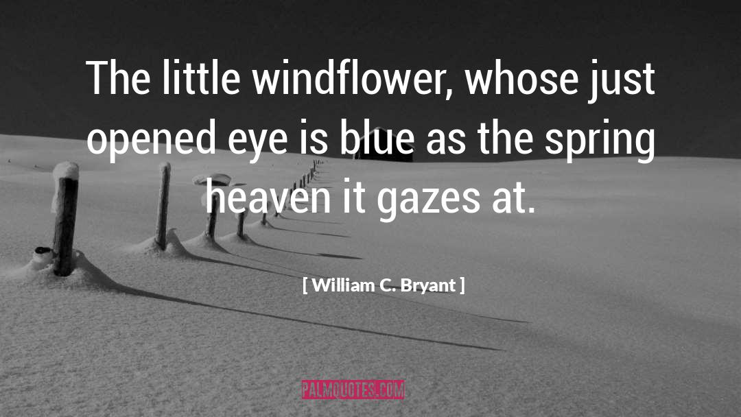 Gazes quotes by William C. Bryant