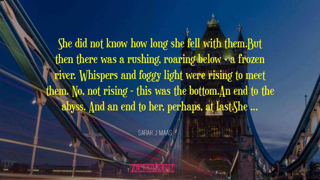 Gazing Into The Abyss quotes by Sarah J. Maas