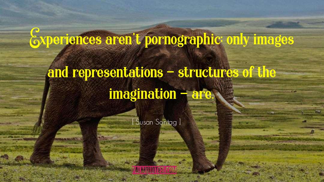 Geanopulos Representations quotes by Susan Sontag