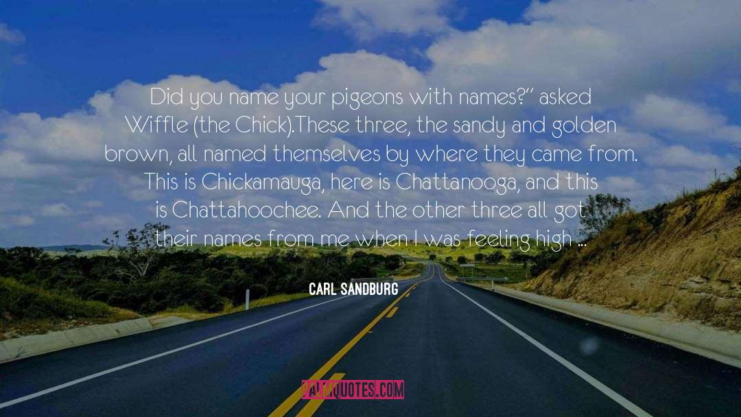 Geerinckx Pigeons quotes by Carl Sandburg