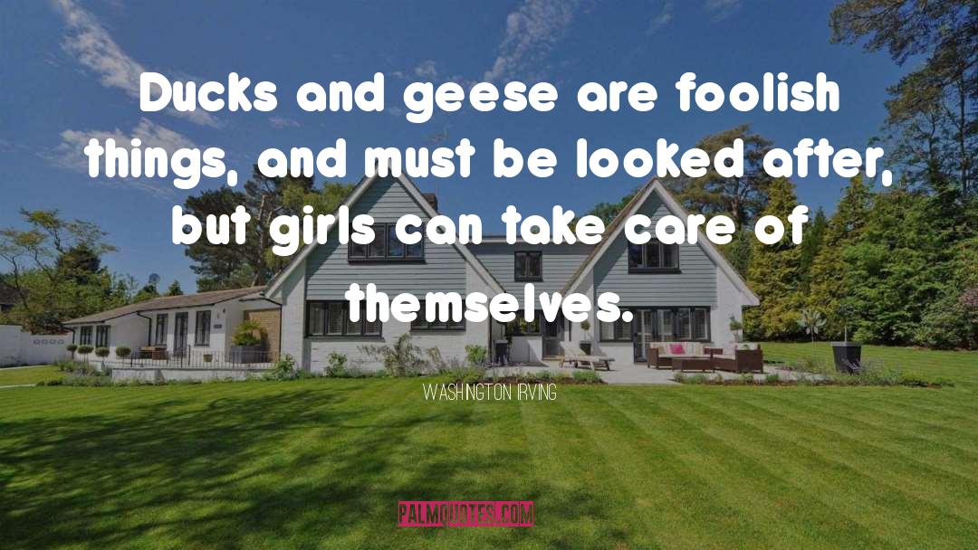 Geese quotes by Washington Irving