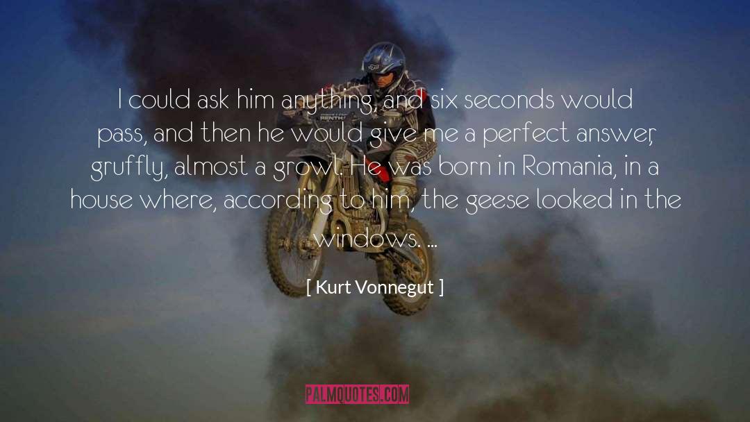 Geese quotes by Kurt Vonnegut