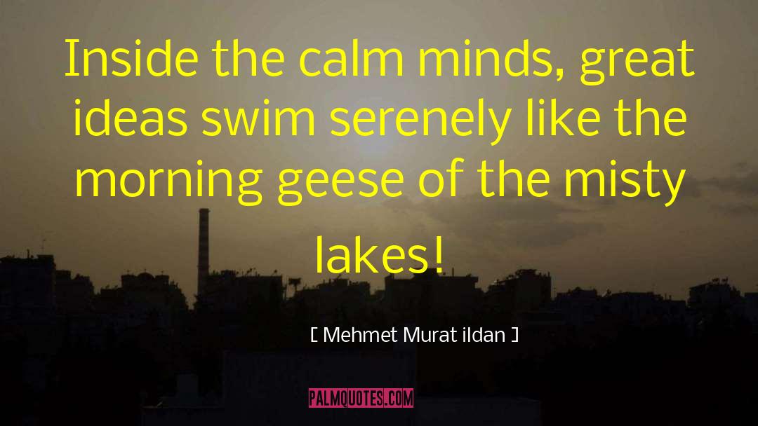 Geese quotes by Mehmet Murat Ildan