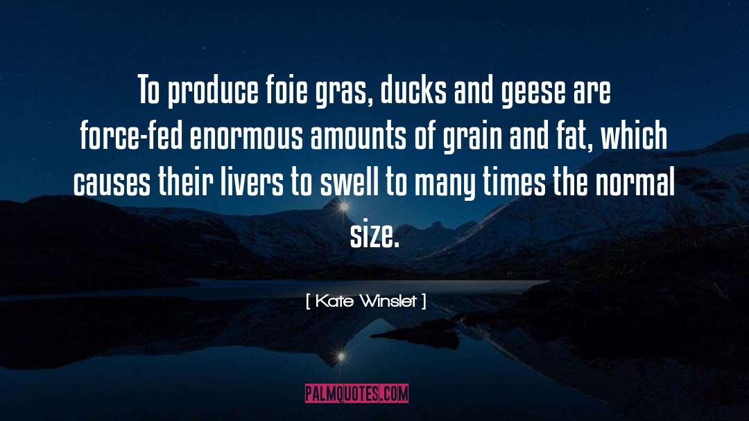 Geese quotes by Kate Winslet