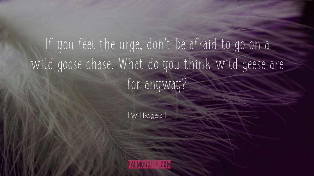 Geese quotes by Will Rogers