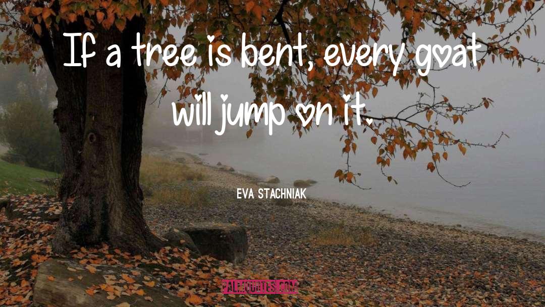 Geffner Tree quotes by Eva Stachniak