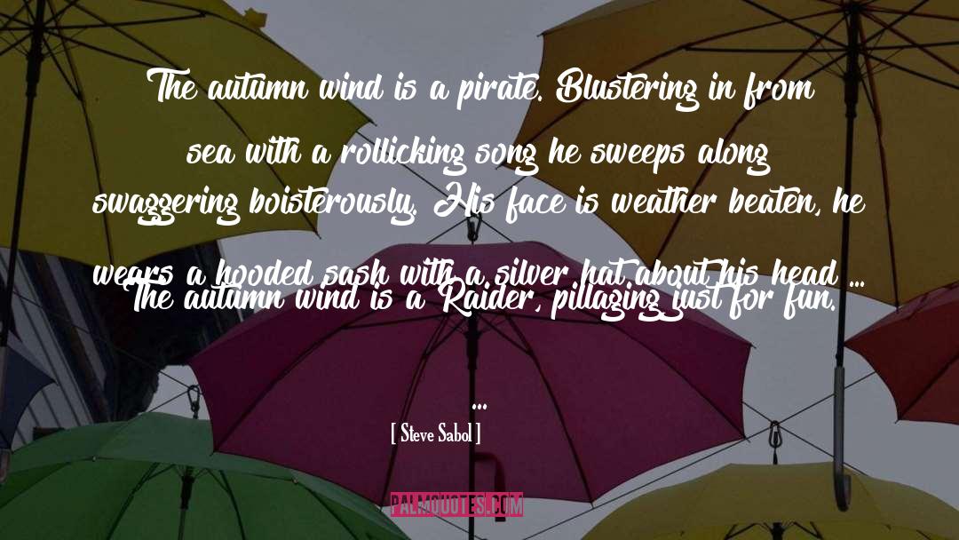 Gelid Weather quotes by Steve Sabol