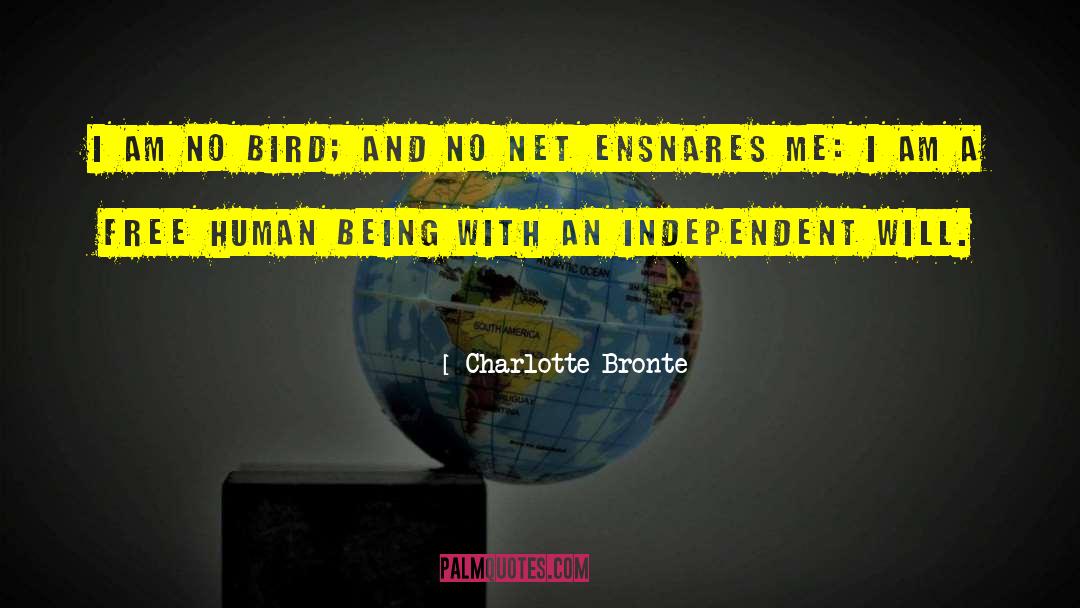Gender Discrimination quotes by Charlotte Bronte