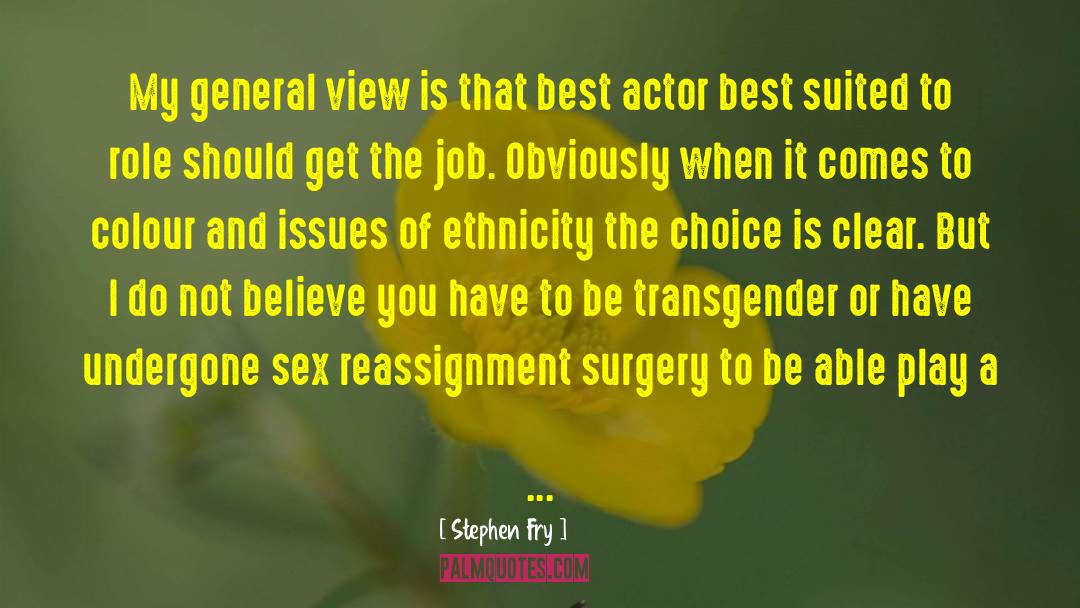 Gender Reassignment Surgery quotes by Stephen Fry
