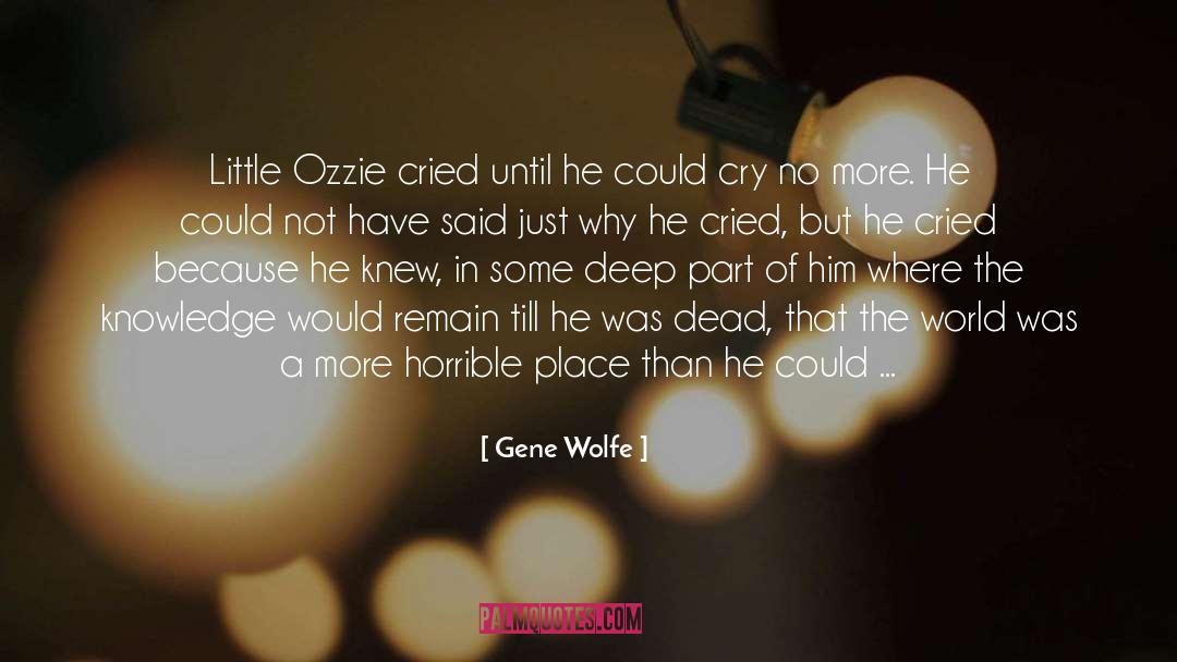 Gene Wolfe quotes by Gene Wolfe