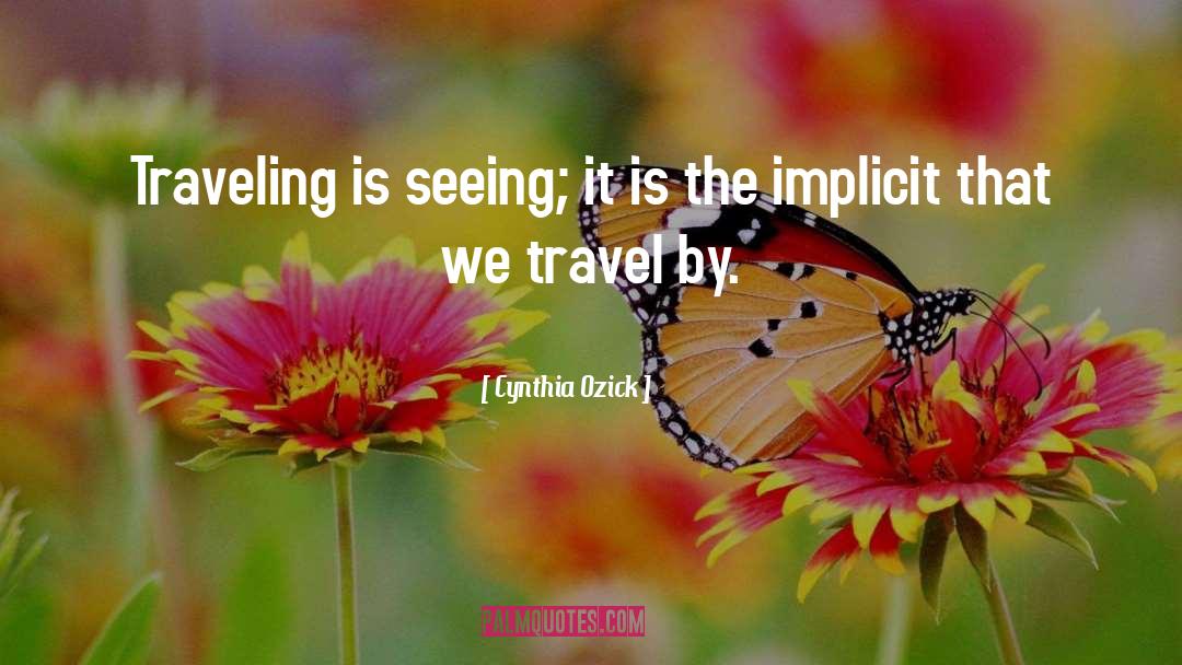 Generality Travel quotes by Cynthia Ozick