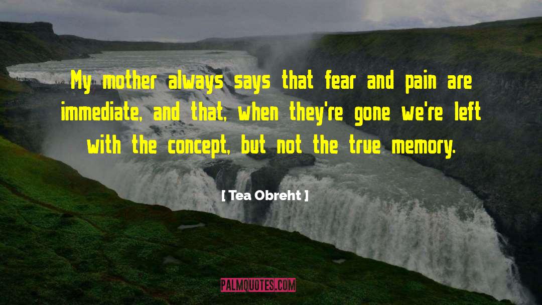 Generational Pain quotes by Tea Obreht