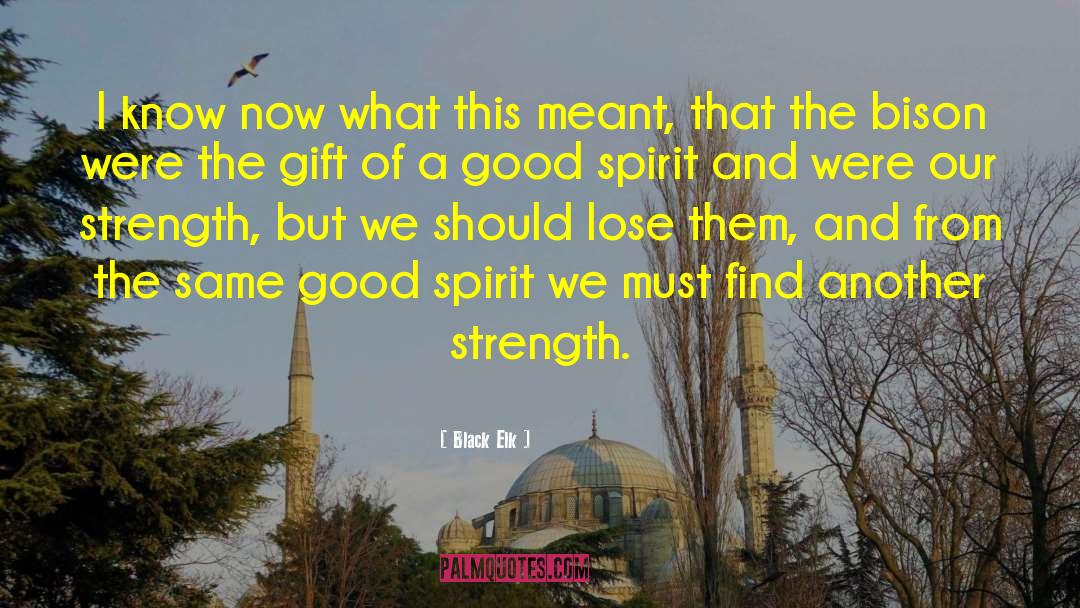 Generosity Of Spirit quotes by Black Elk