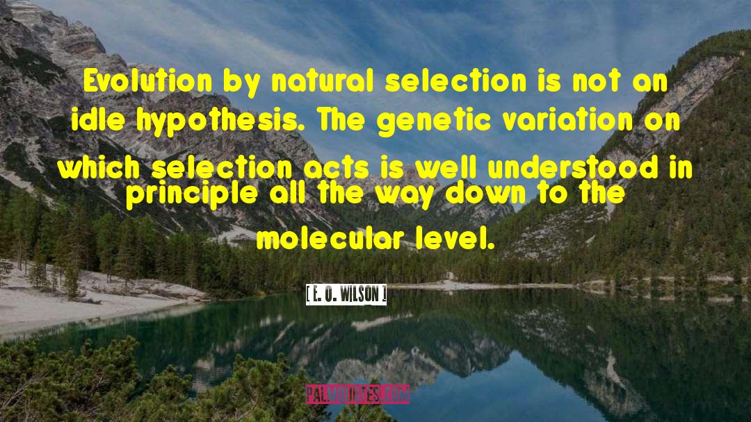 Genetic Mutation quotes by E. O. Wilson