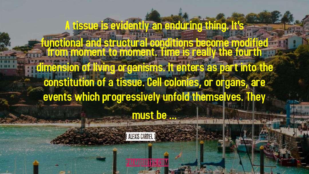 Genetically Modified Organism quotes by Alexis Carrel