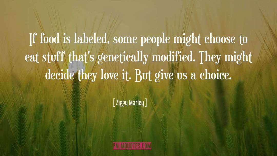 Genetically Modified quotes by Ziggy Marley