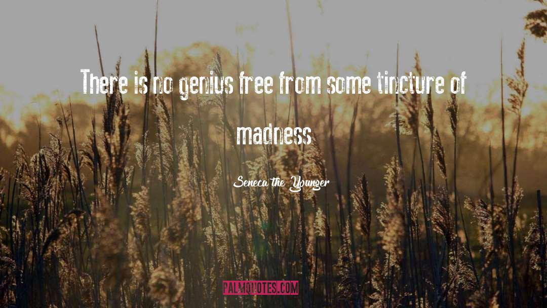 Genius And Madness quotes by Seneca The Younger