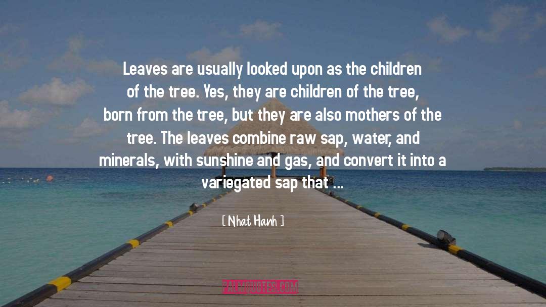 Genius Children quotes by Nhat Hanh