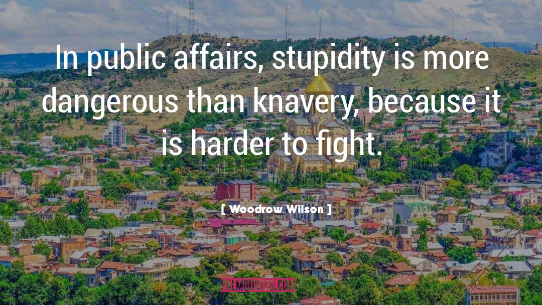 Genius Stupidity quotes by Woodrow Wilson
