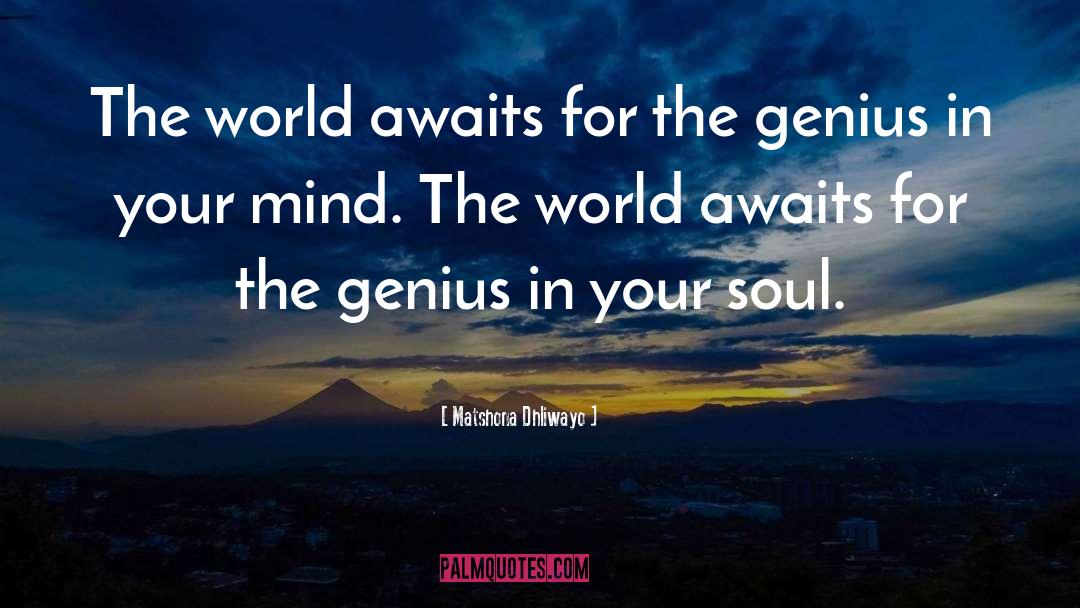 Genius Thinkers quotes by Matshona Dhliwayo