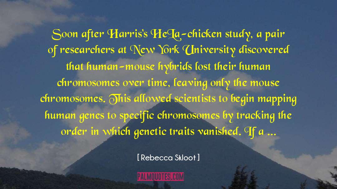 Genome quotes by Rebecca Skloot