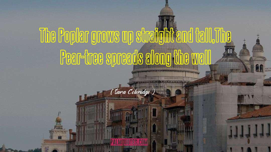 Genovian Pear quotes by Sara Coleridge