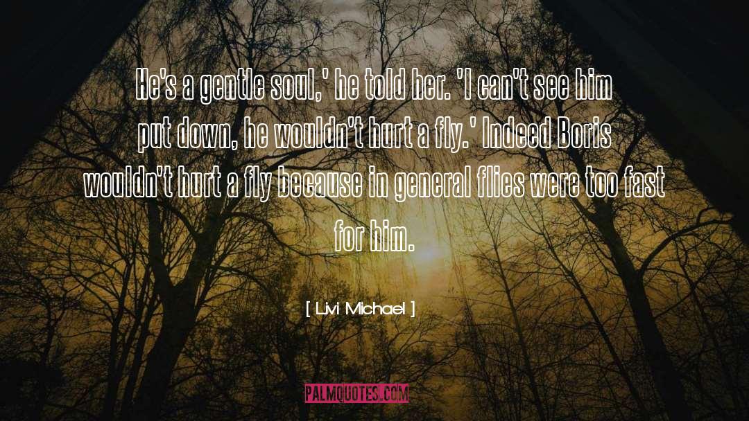 Gentle quotes by Livi Michael