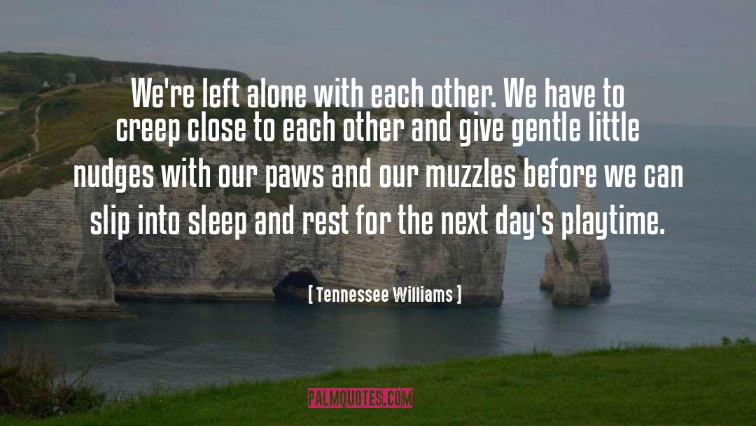 Gentle quotes by Tennessee Williams