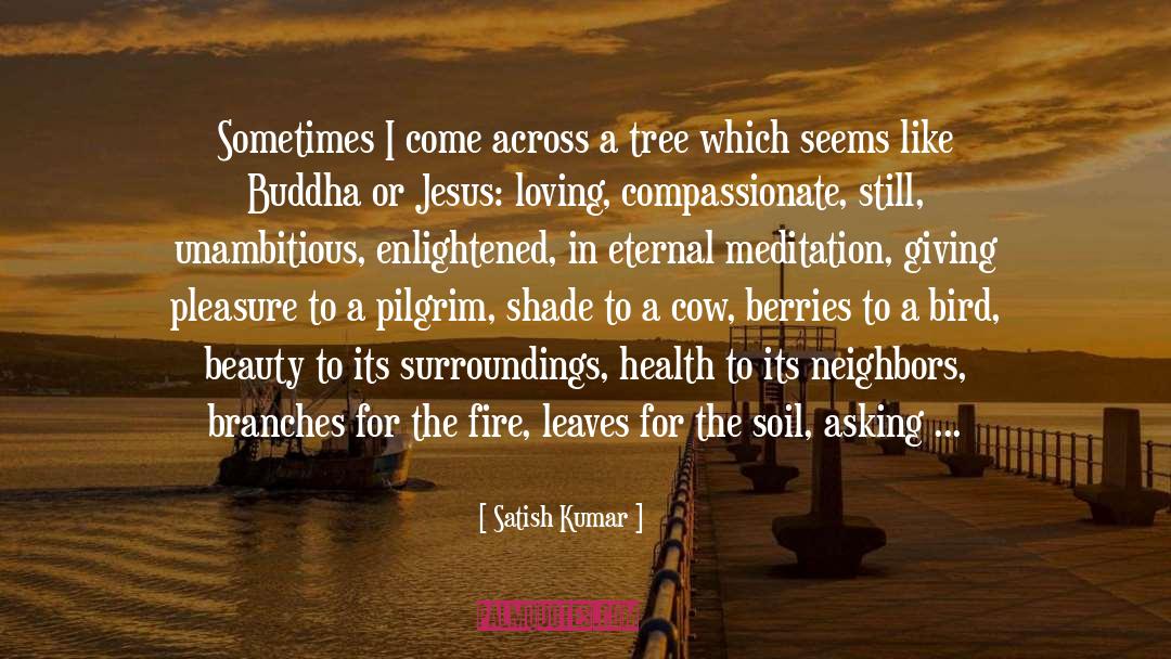 Gentle Rain quotes by Satish Kumar