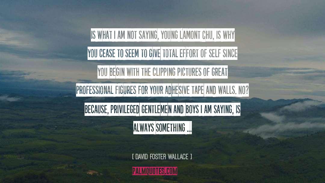 Gentlemen quotes by David Foster Wallace