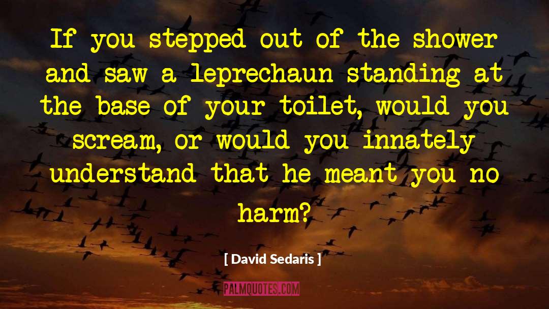 Gents Toilets quotes by David Sedaris